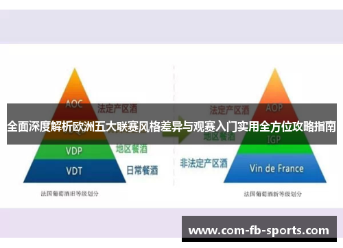 全面深度解析欧洲五大联赛风格差异与观赛入门实用全方位攻略指南