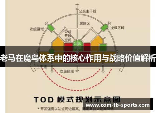 老马在魔鸟体系中的核心作用与战略价值解析