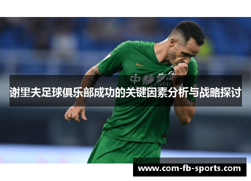 谢里夫足球俱乐部成功的关键因素分析与战略探讨 谢里夫足球俱乐部成功的关键因素分析与战略探讨