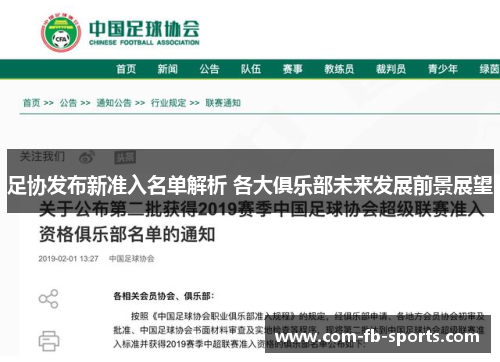 足协发布新准入名单解析 各大俱乐部未来发展前景展望
